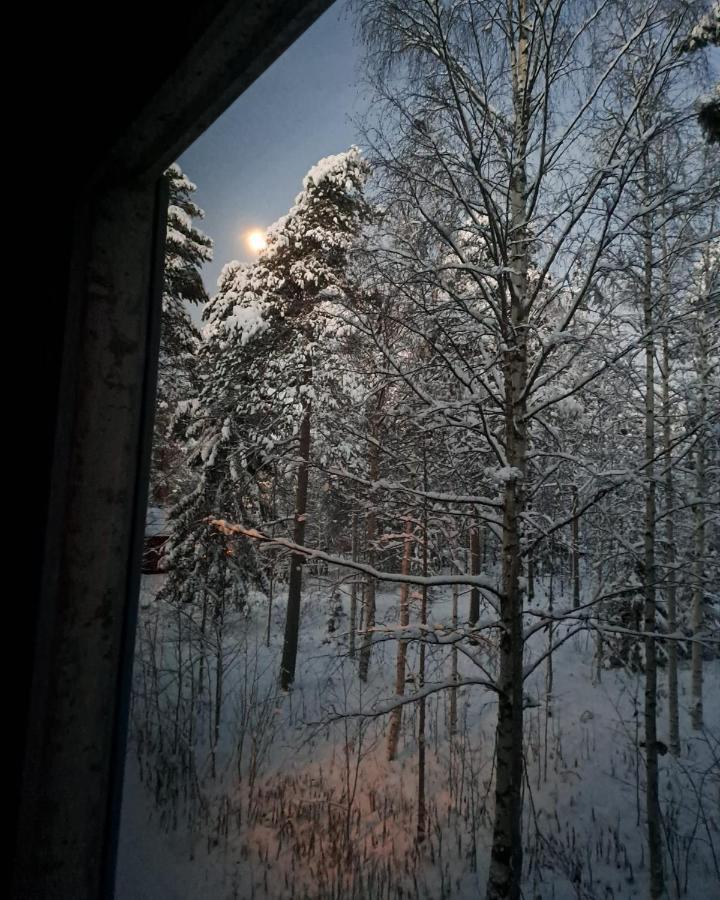 In Polar Circle Rovaniemi